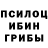Галлюциногенные грибы GOLDEN TEACHER Dillon Knight