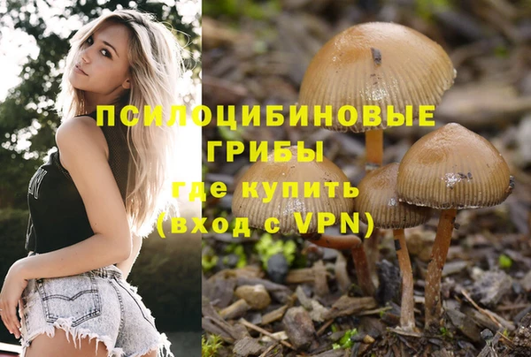 стаф Краснотурьинск