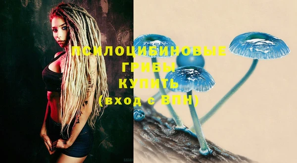 твердый Кулебаки
