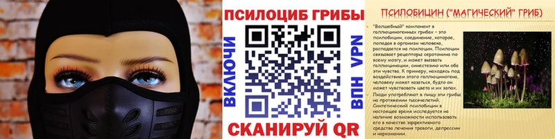 Псилоцибиновые грибы Psilocybine cubensis  Алушта 