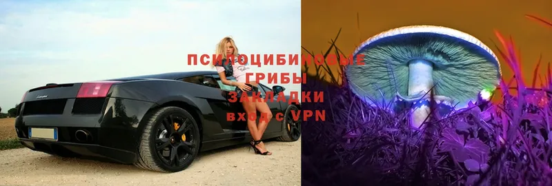 Галлюциногенные грибы Psilocybe  купить  сайты  Алушта 