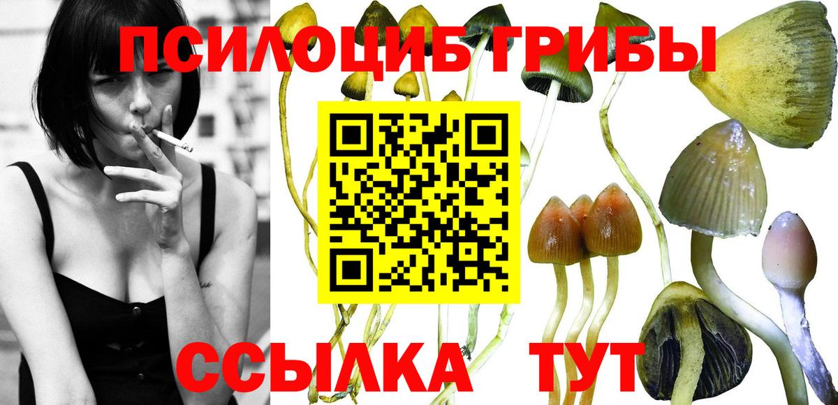 Псилоцибиновые грибы прущие грибы Алушта