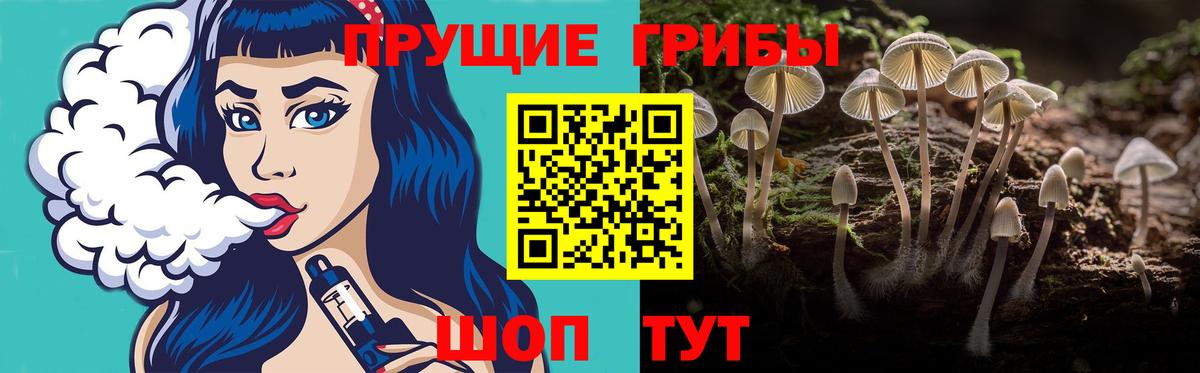 Алушта  Галлюциногенные грибы Magic Shrooms  Вход с VPN 