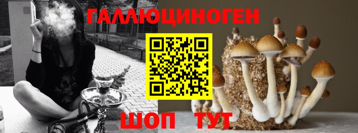 Галлюциногенные грибы MAGIC MUSHROOMS Алушта